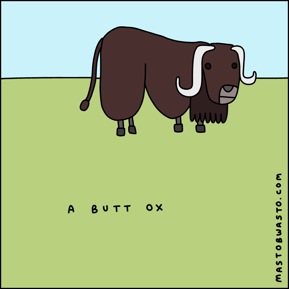 A Butt Ox